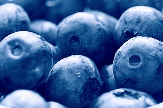 mirtilli per la dieta chetogenica