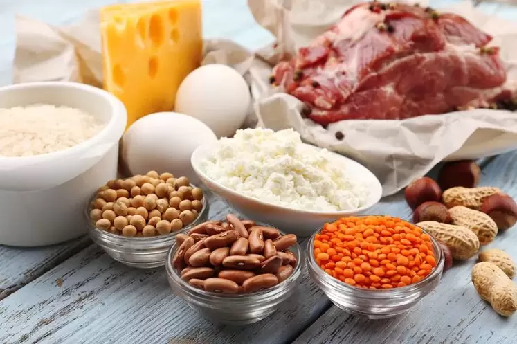 prodotti per una dieta proteica